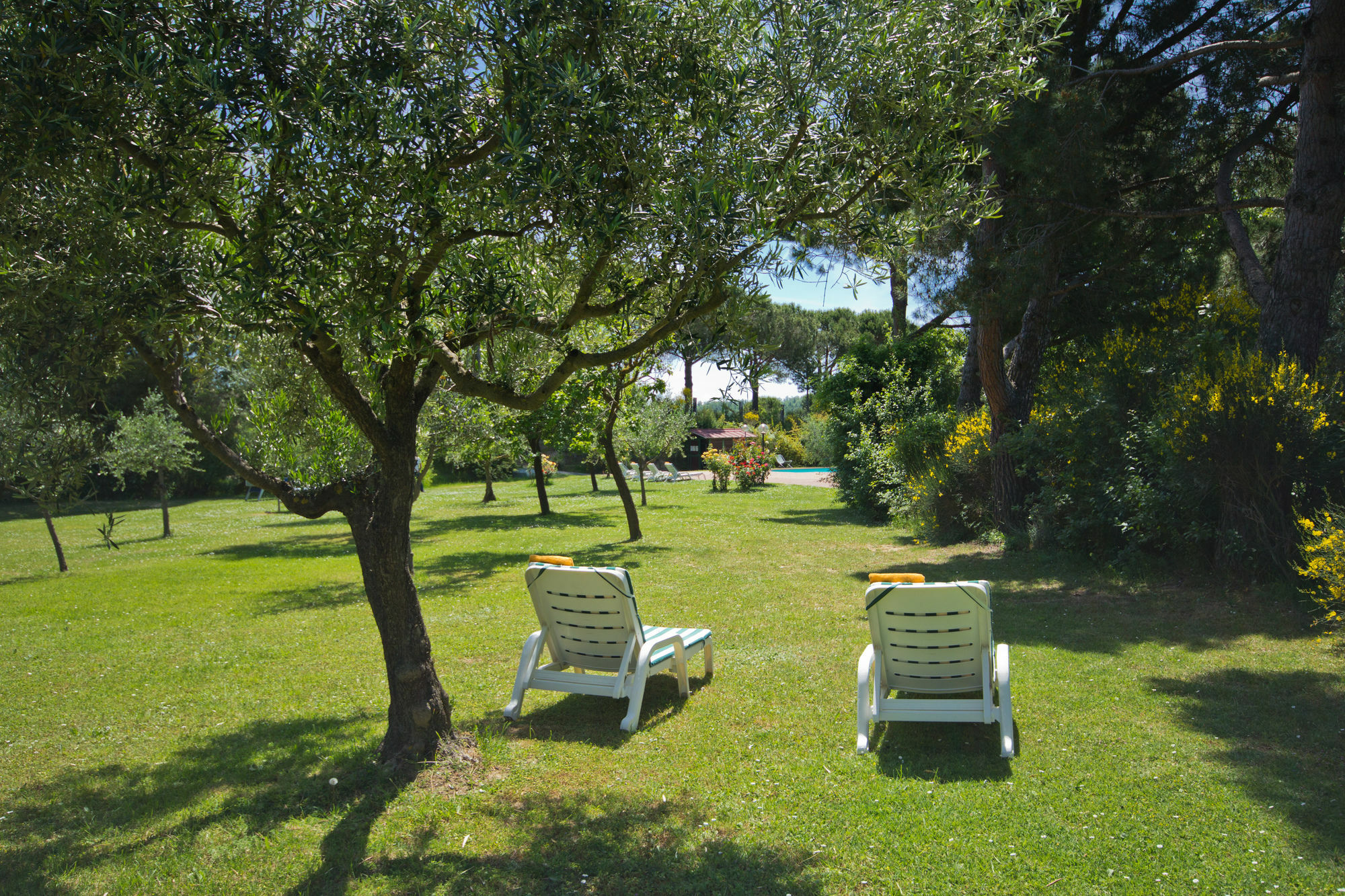 Hotel Panoramic Montepulciano Exterior photo